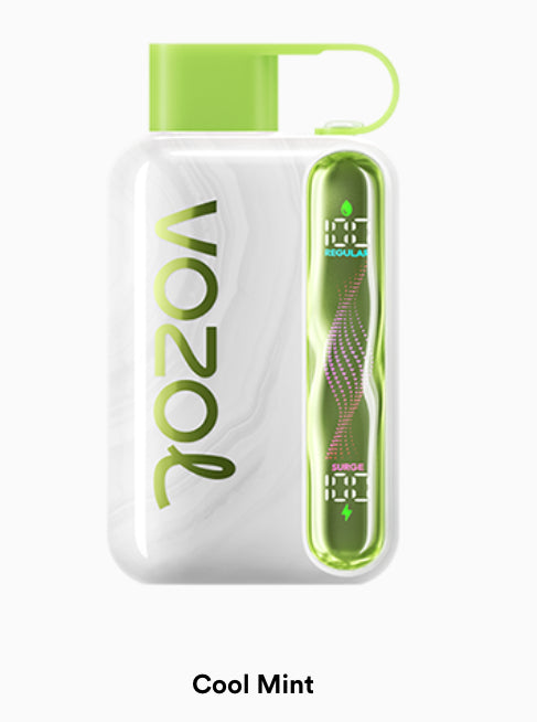 VOZOL STAR 40000 puff (10 pcs)