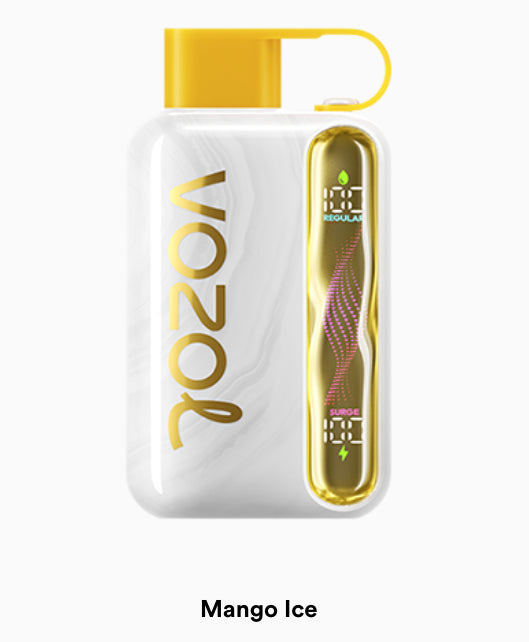 VOZOL STAR 40000 puff (10 pcs)