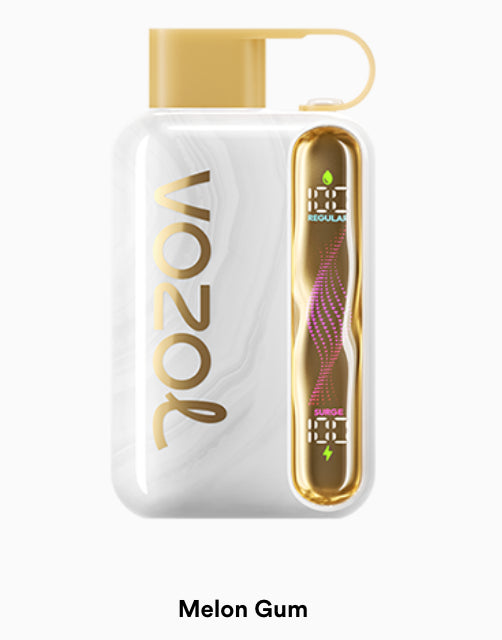 VOZOL STAR 40000 puff (10 pcs)