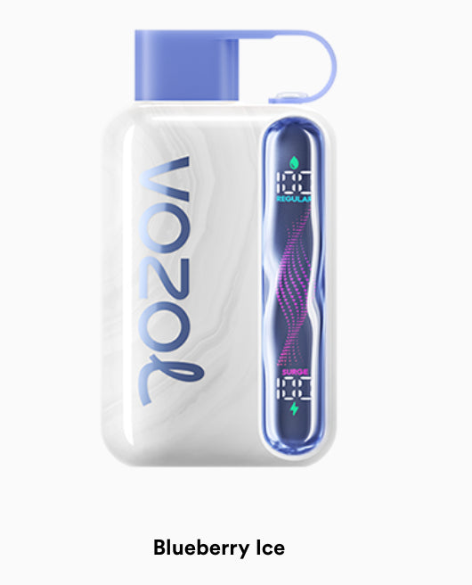 VOZOL STAR 40000 puff (10 pcs)