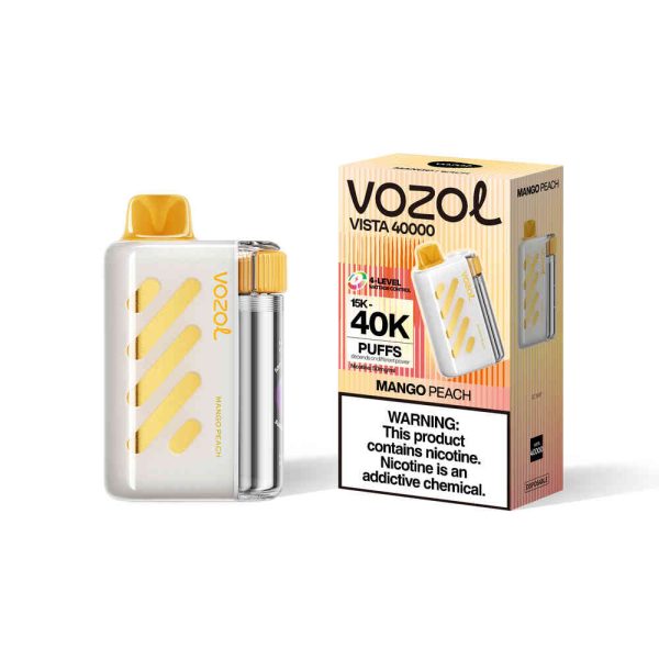 VOZOL VISTA  40000 puff (10 pcs)