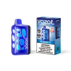 VOZOL RAVE 40000puff (10 pcs)