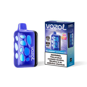 VOZOL RAVE 40000puff (10 pcs)