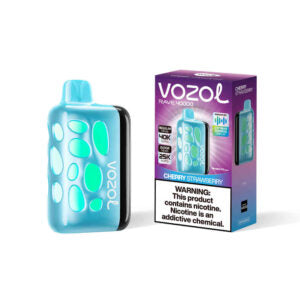 VOZOL RAVE 40000puff (10 pcs)