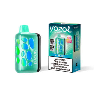 VOZOL RAVE 40000puff (10 pcs)