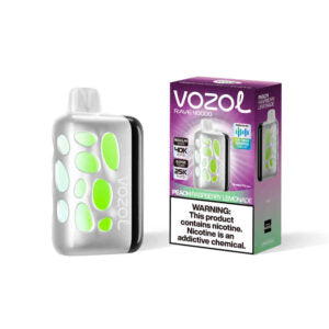 VOZOL RAVE 40000puff (10 pcs)