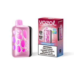 VOZOL RAVE 40000puff (10 pcs)