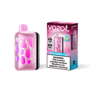 VOZOL RAVE 40000puff (10 pcs)