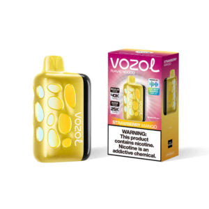 VOZOL RAVE 40000puff (10 pcs)