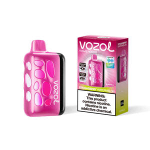 VOZOL RAVE 40000puff (10 pcs)