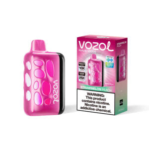 VOZOL RAVE 40000puff (10 pcs)