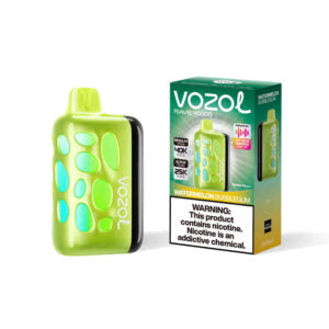 VOZOL RAVE 40000puff (10 pcs)