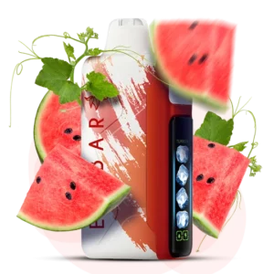 ELFBAR NIC 30000puff ( 10 pcs )