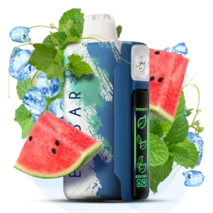 ELFBAR NIC 30000puff ( 10 pcs )