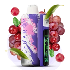 ELFBAR NIC 30000puff ( 10 pcs )