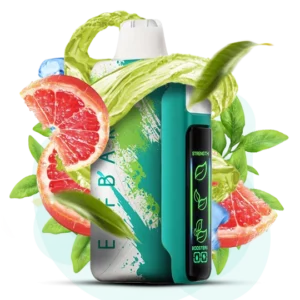 ELFBAR NIC 30000puff ( 10 pcs )