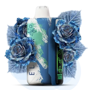 ELFBAR NIC 30000puff ( 10 pcs )