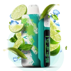 ELFBAR NIC 30000puff ( 10 pcs )