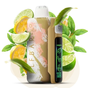 ELFBAR NIC 30000puff ( 10 pcs )