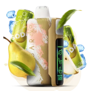 ELFBAR NIC 30000puff ( 10 pcs )