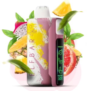 ELFBAR NIC 30000puff ( 10 pcs )