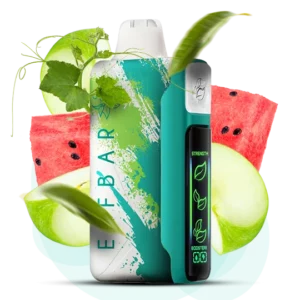 ELFBAR NIC 30000puff ( 10 pcs )