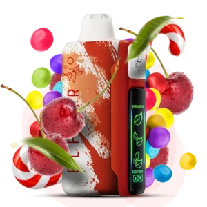 ELFBAR NIC 30000puff ( 10 pcs )