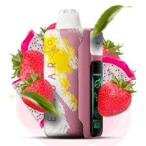 ELFBAR NIC 30000puff ( 10 pcs )