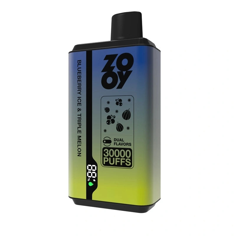 ZOOY twins 30000 puff (10 pcs)