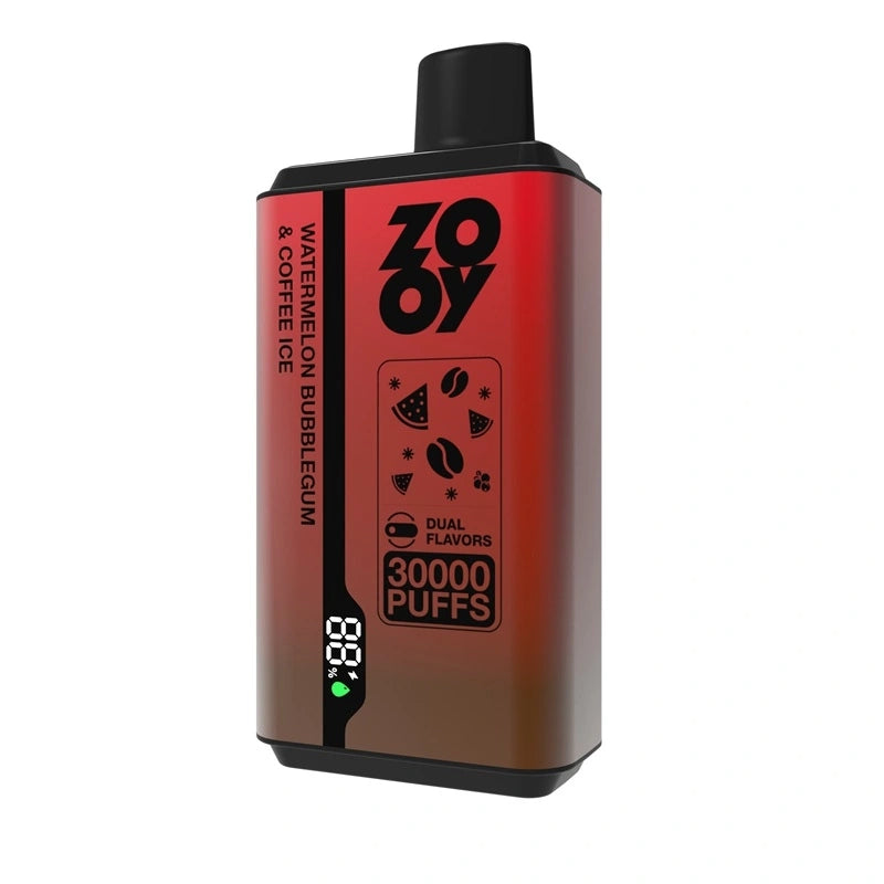 ZOOY twins 30000 puff (10 pcs)